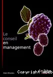 Le conseil en management