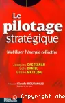 Le pilotage stratégique